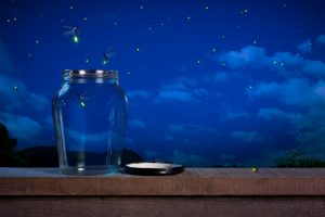 Fireflies and a mason jar