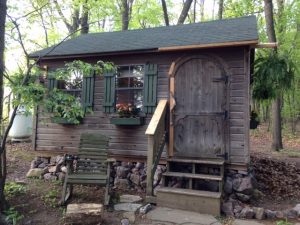 Cabin in the woods | Sally Paradysz