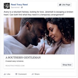 Facebook Ads 4 | Tracy Reed | A Slice of Orange