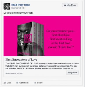 Facebook Ads 2 | Tracy Reed | A Slice of Orange