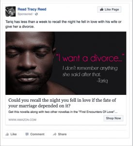 Facebook Ads | Tracy Reed | A Slice of Orange