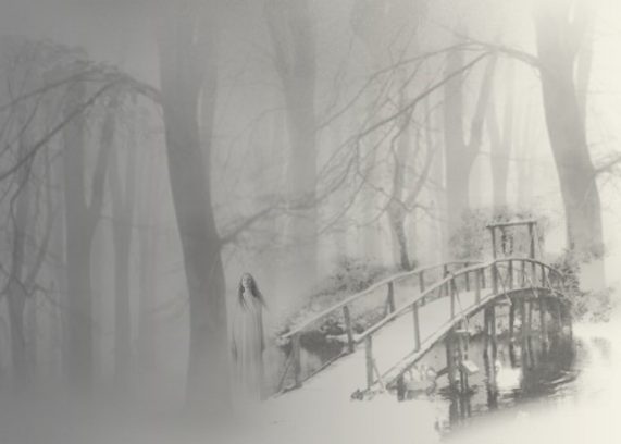 Out of the fog | Jenny Jensen | A Slice of Orange