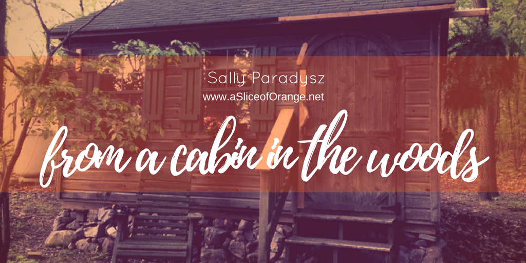 New Life | Sally Paradysz | A Slice of Orange