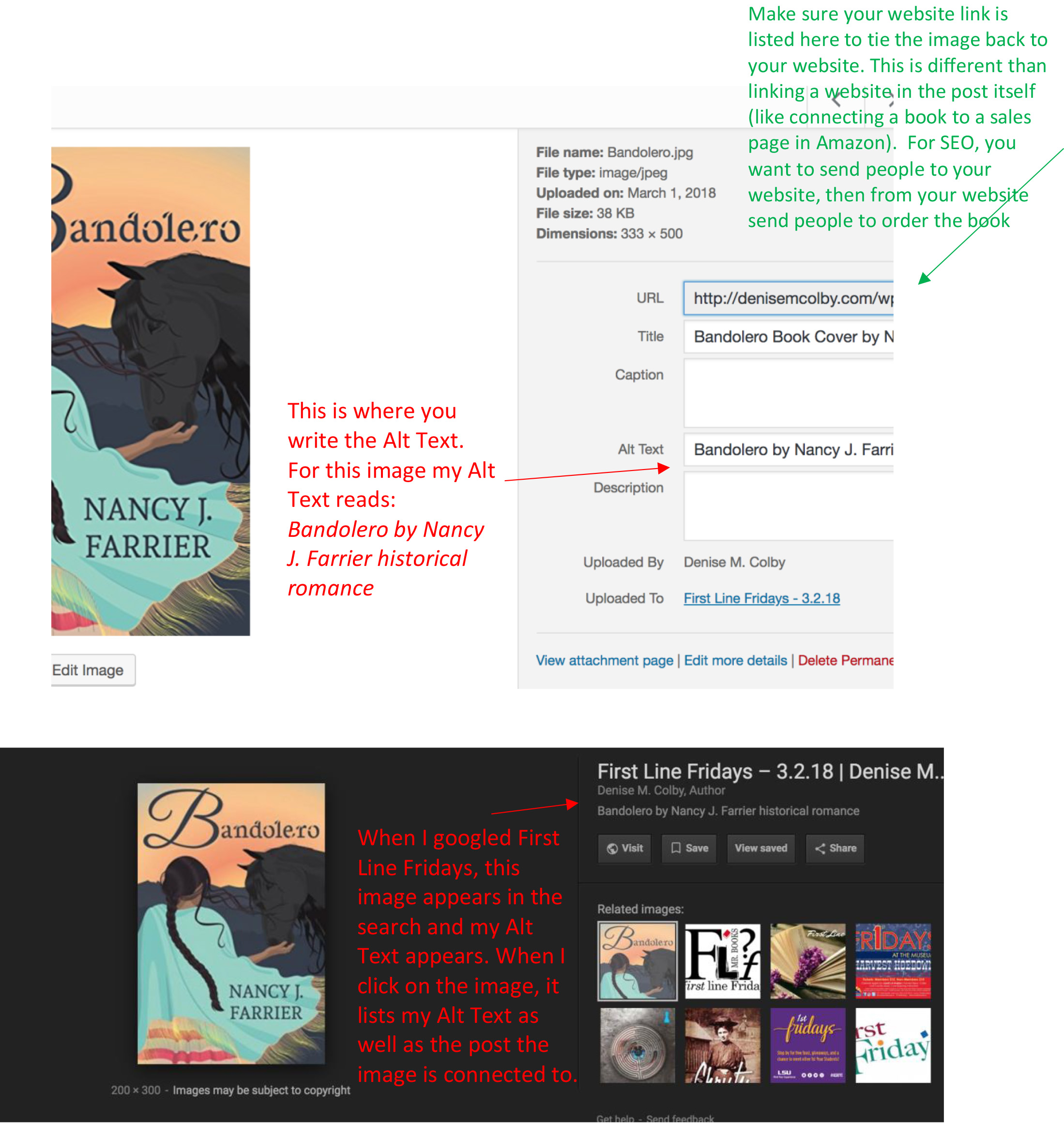 Alt Text Search Example for blog post Image and how it appears in search by Denise M. Colby