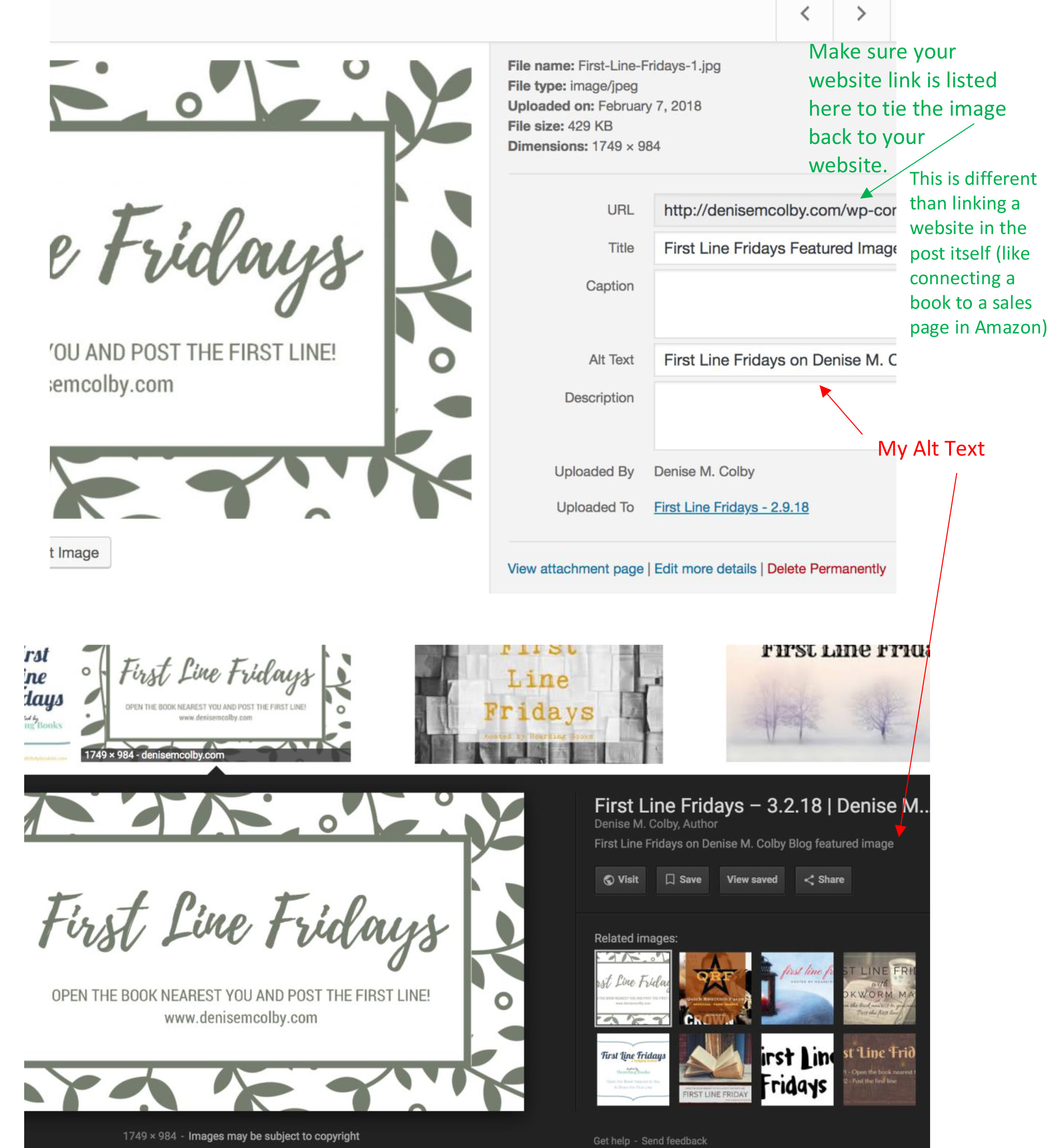 First Line Fridays Alt Text Search Example by Denise M. Colby for A Slice of Orange Blog Post