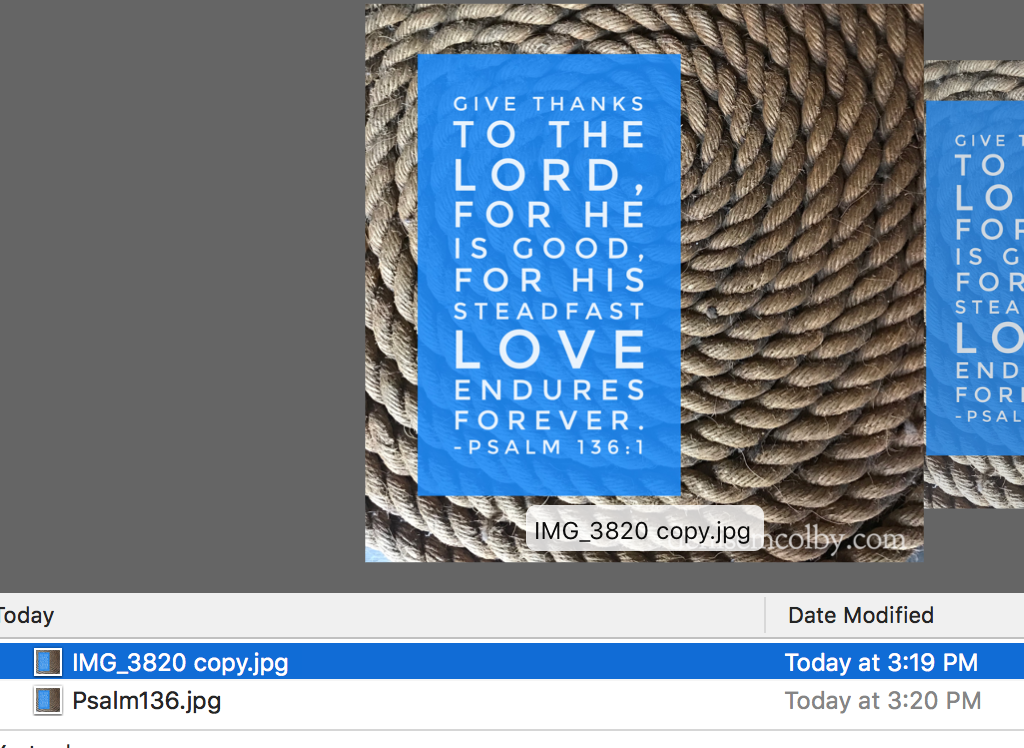 Image of File Names by Denise Colby for Blog Post How to Maximize SEO with Image File Names