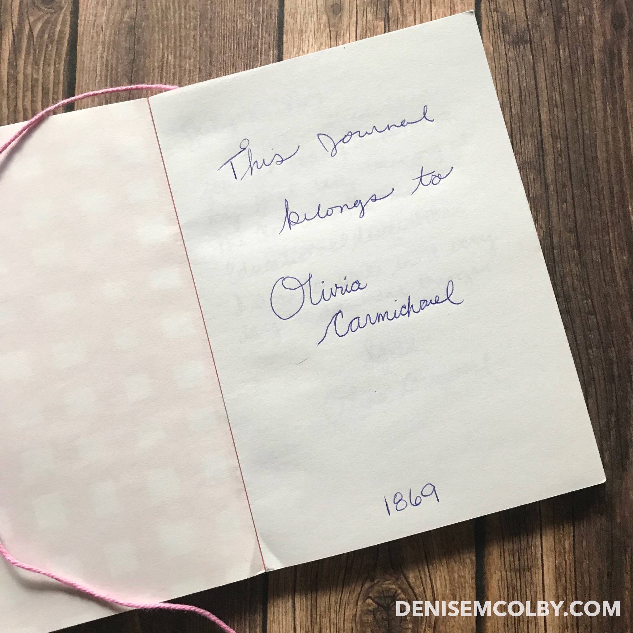 handwrite in a journal, character journal, Olivia's journal Denise M. Colby
