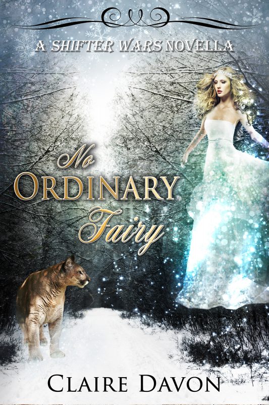 NO ORDINARY FAIRY