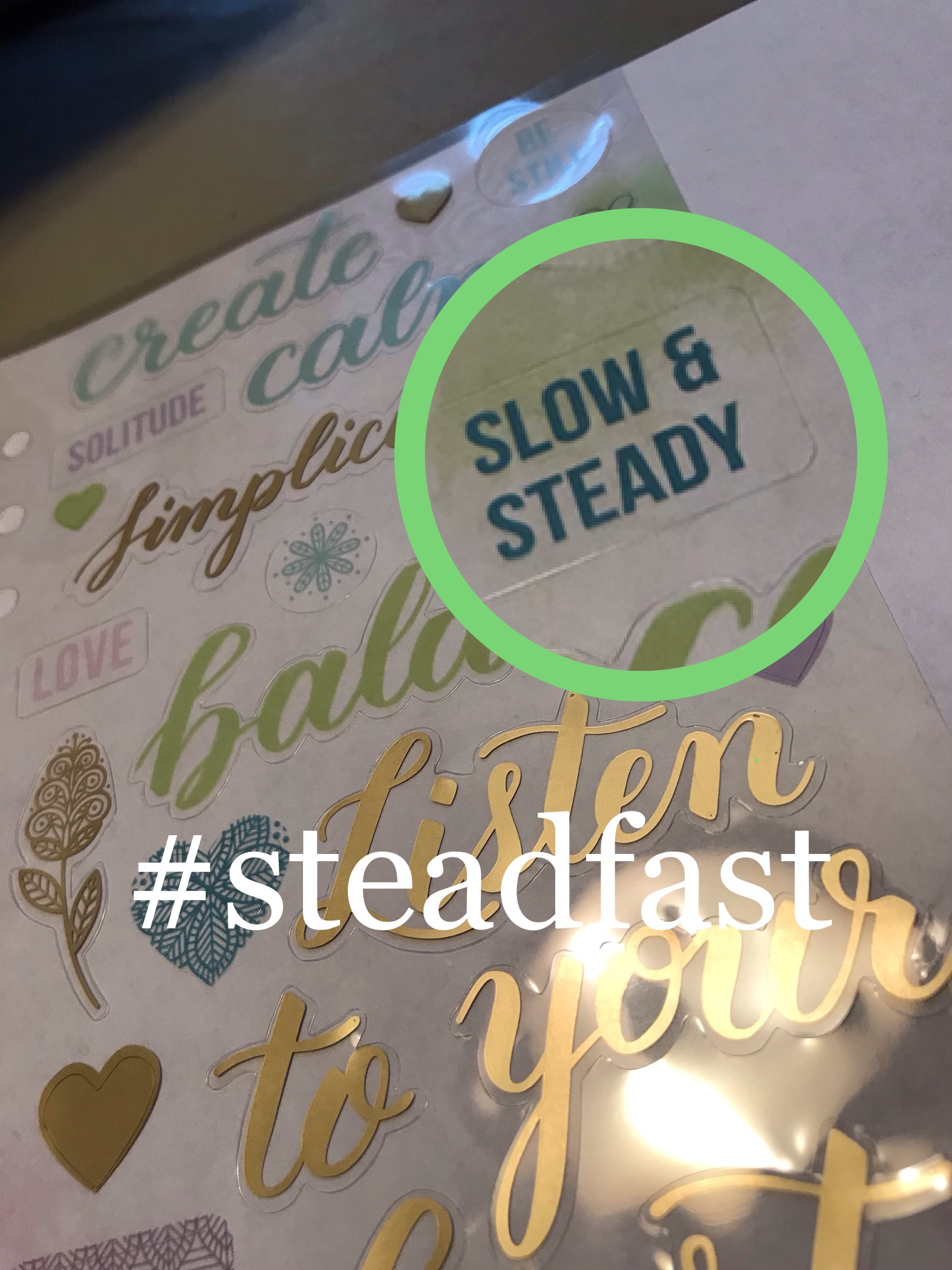 steadfast in my writing by Denise M. Colby
