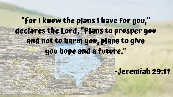 bible verse Jeremiah 29:11 For I know the plans I have for you, declares the Lord