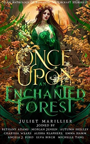 ONCE UPON AN ENCHANTED FOREST