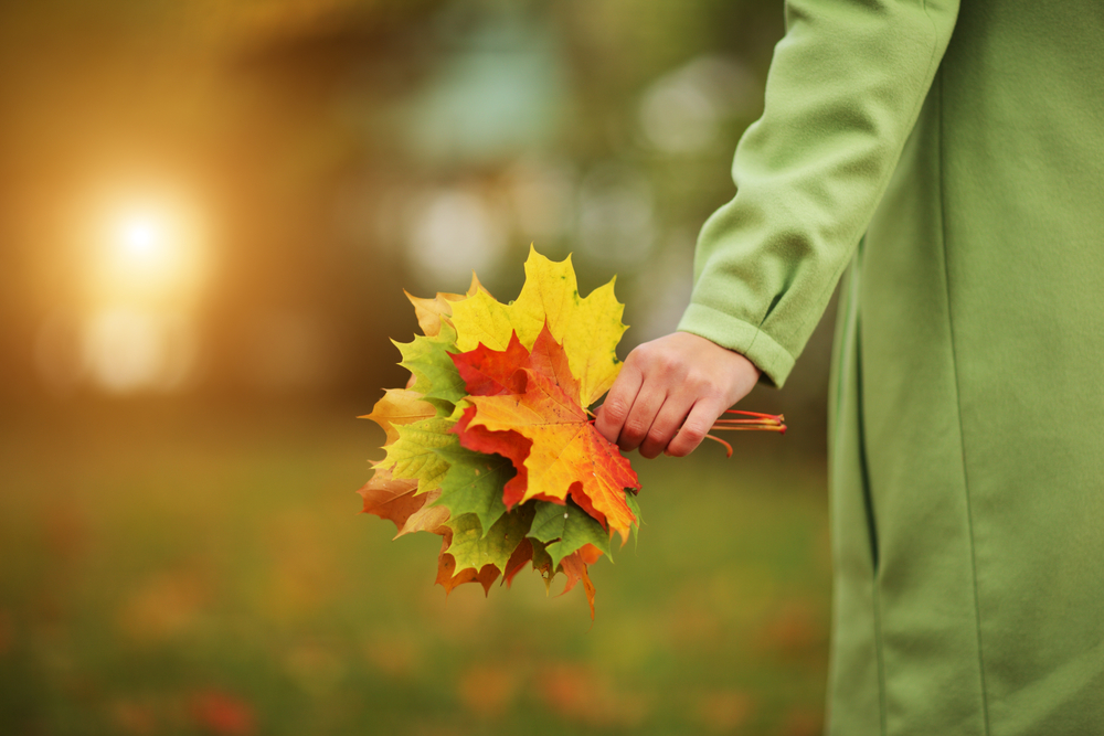 Female hand with colorful bouquet of autumn leaves. Closeup.