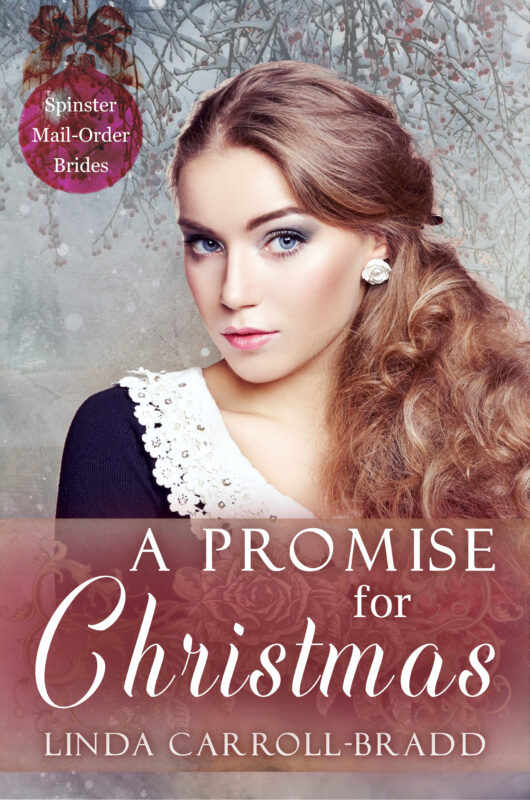 A PROMISE FOR CHRISTMAS