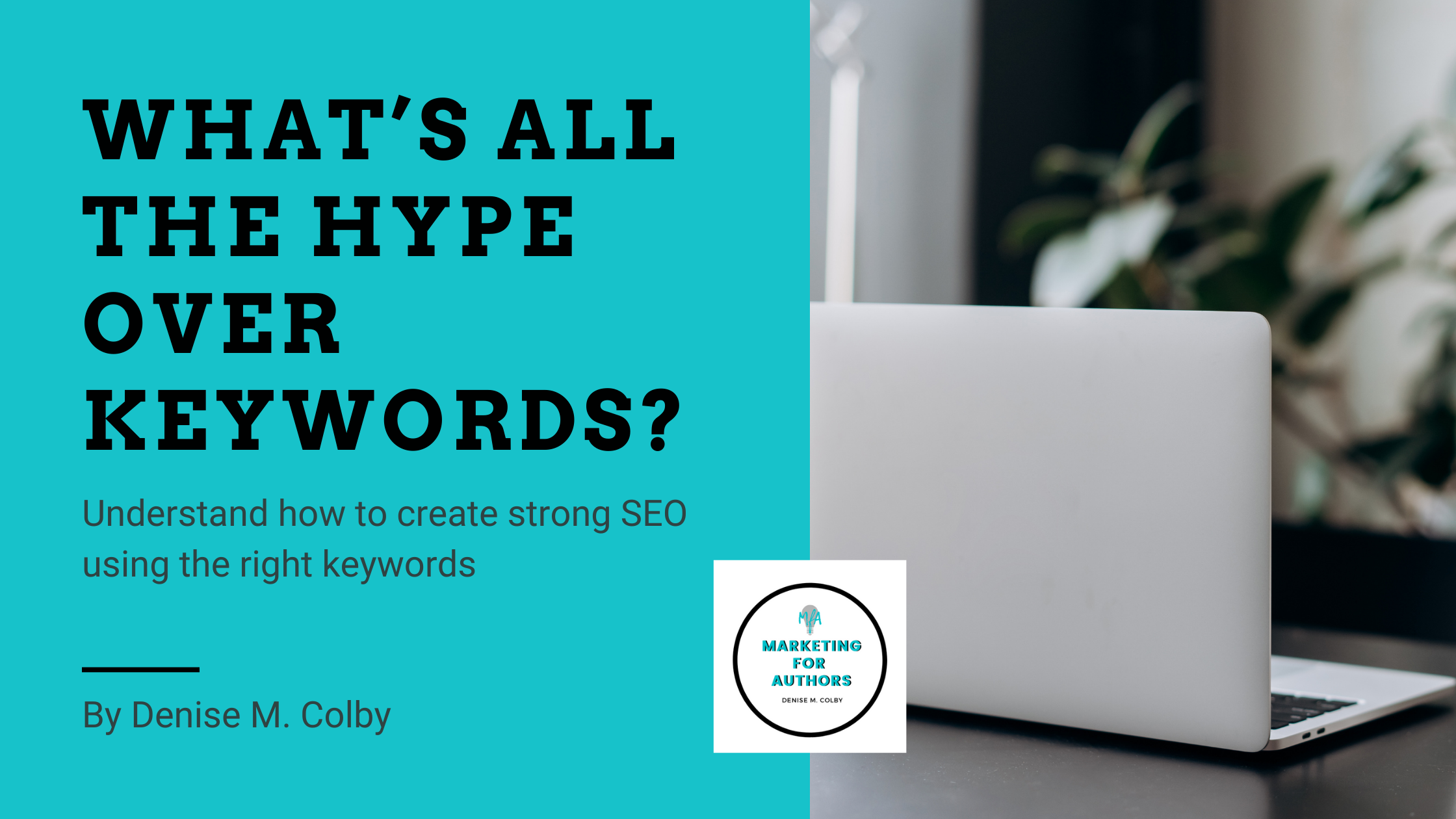 Hype Over Keywords Blog banner with words What's All the Hype Over Keywords by Denise M. Colby and other side with back side open laptop
