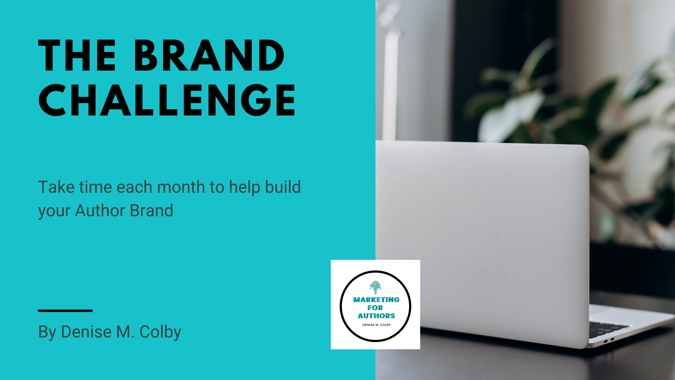 Blog header with right side showing laptop and left with words The Brand Challenge by Denise M. Colby