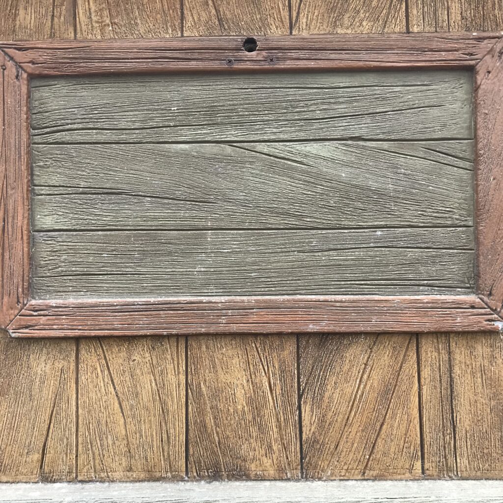 background photo taken at Disneyland