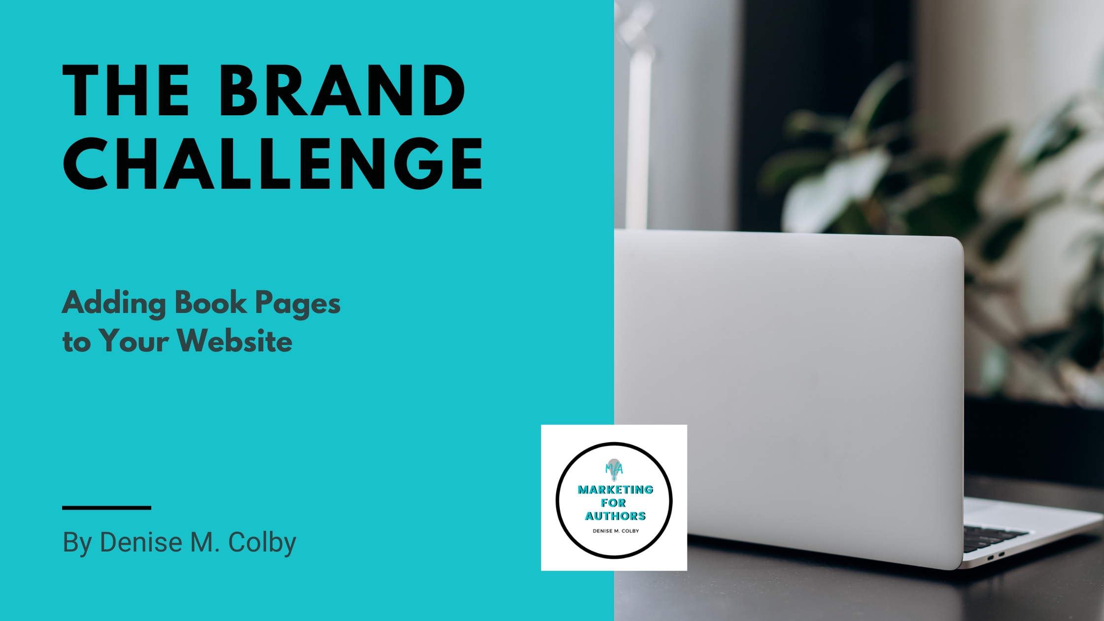 Blog Header titled the Brand Challenge; Adding Book Pages to Your Website by Denise M. Colby