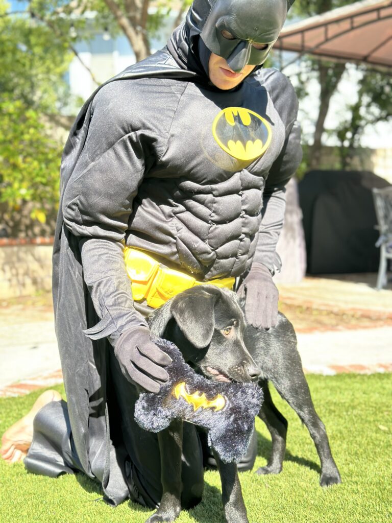 Batman is the theme with the dog's name Ace