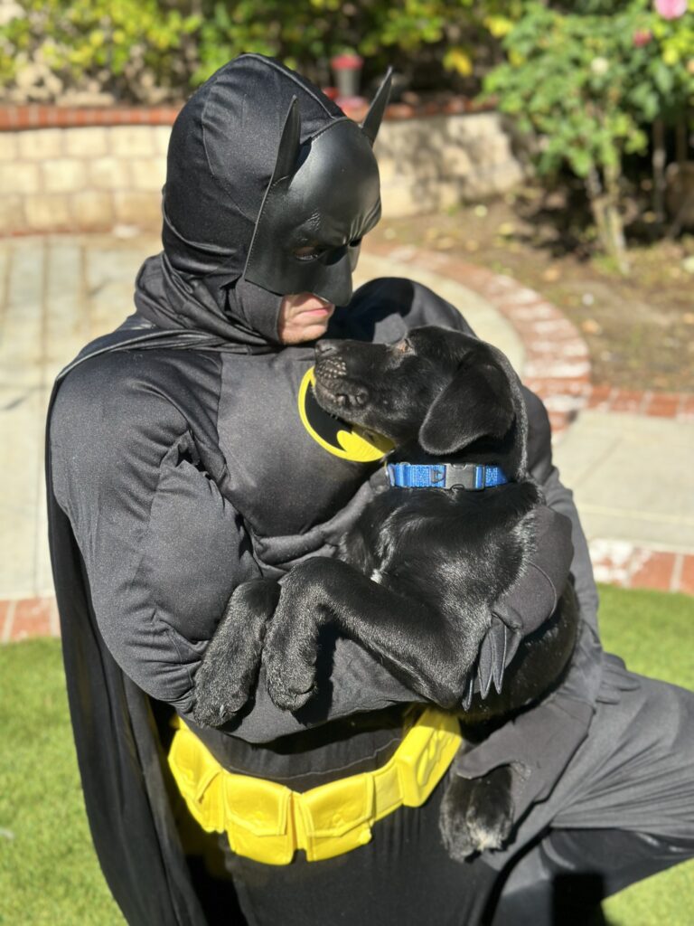 Ace and my son dressed up as Batman