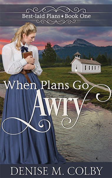 Book Cover for Denise M. Colby's Debut novel When Plans Go Awry