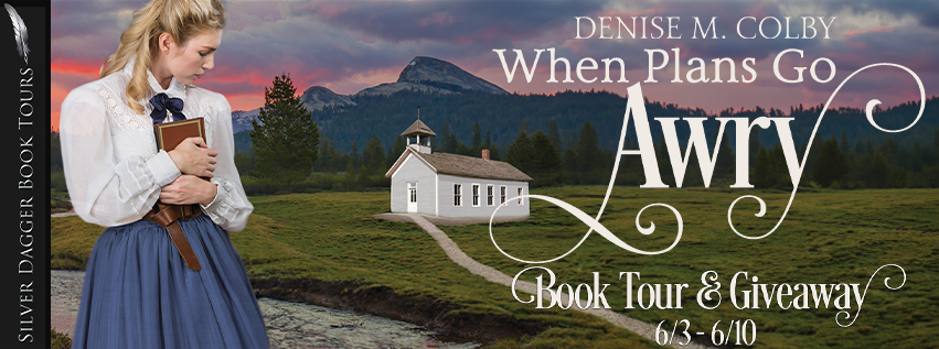 The blog banner for debut novel When Plans Go Awry for Silver Dagger Book Tours