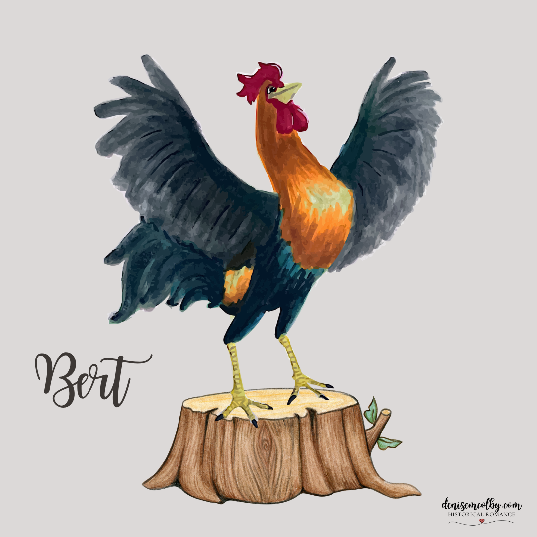 Bert the rooster from when plans go awry debut novel by Denise M. Colby