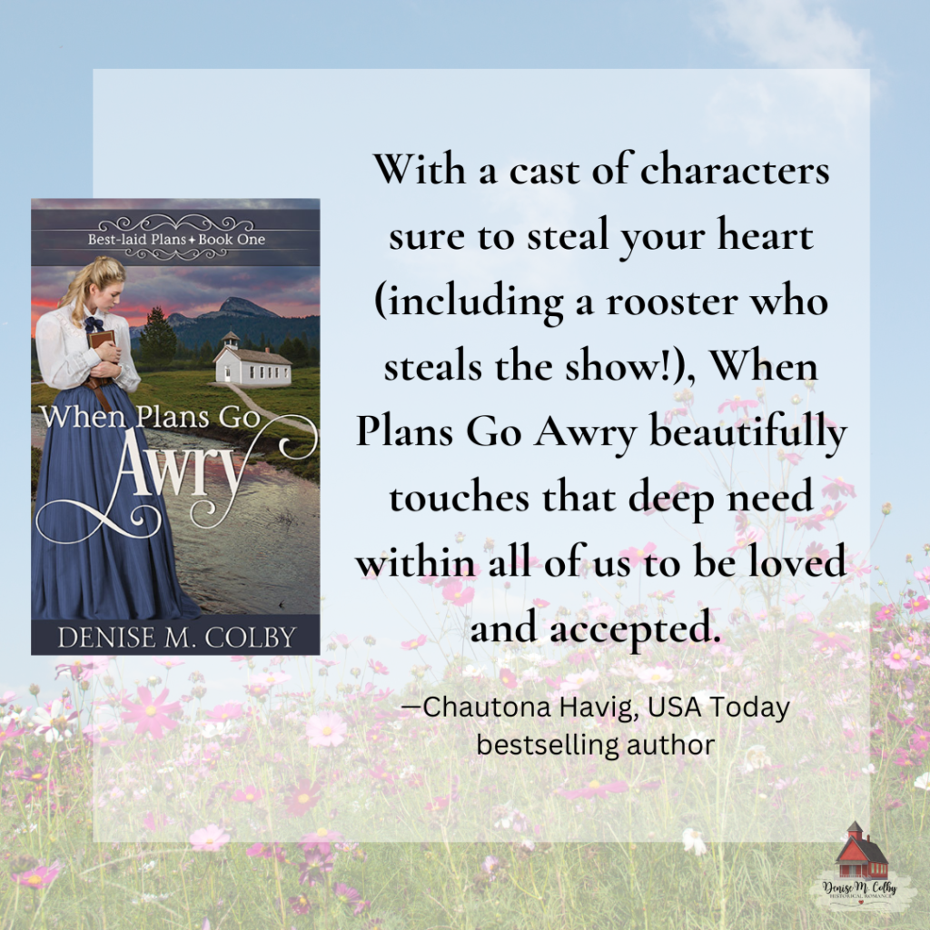 Chautona review happily ever after When Plans Go Awry