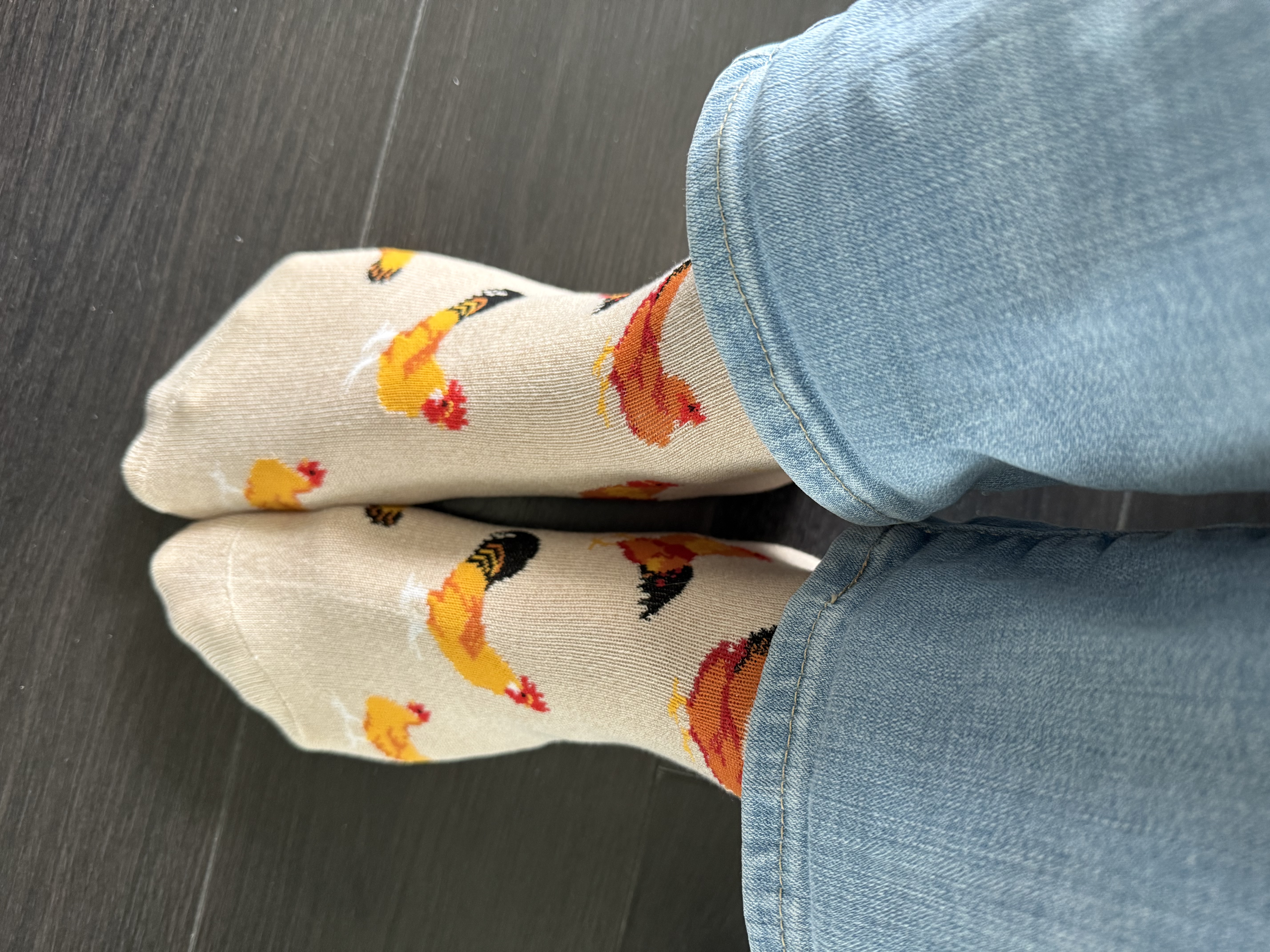 socks with roosters on them worn by Denise M. Colby to celebrate her book launch in the Best-laid Plans Series that has a rooster named Bert in it