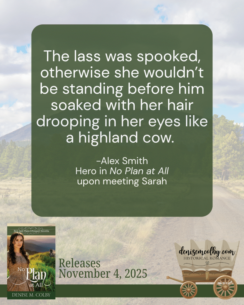 Book quote for No Plan at All about highland cows