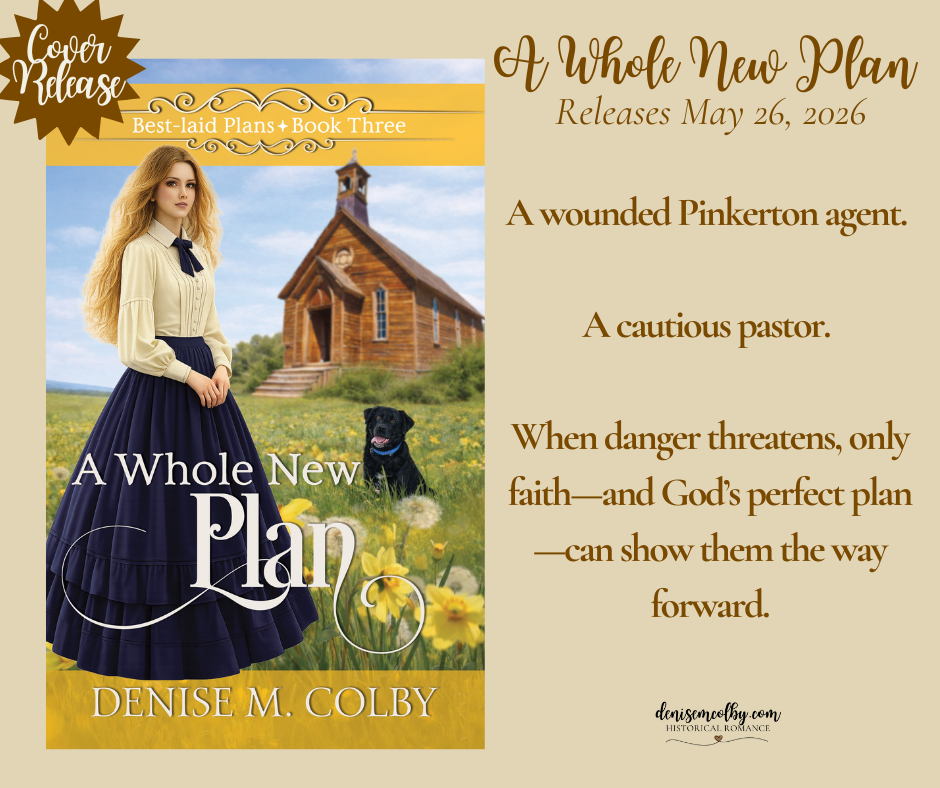 A Whole New Plan by Denise M. Colby book cover and short summary is the fourth book in her series